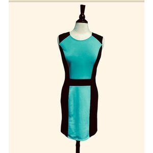 AA Studio AA Green & Black Sleeveless Sheath Dress Size 10 NWT